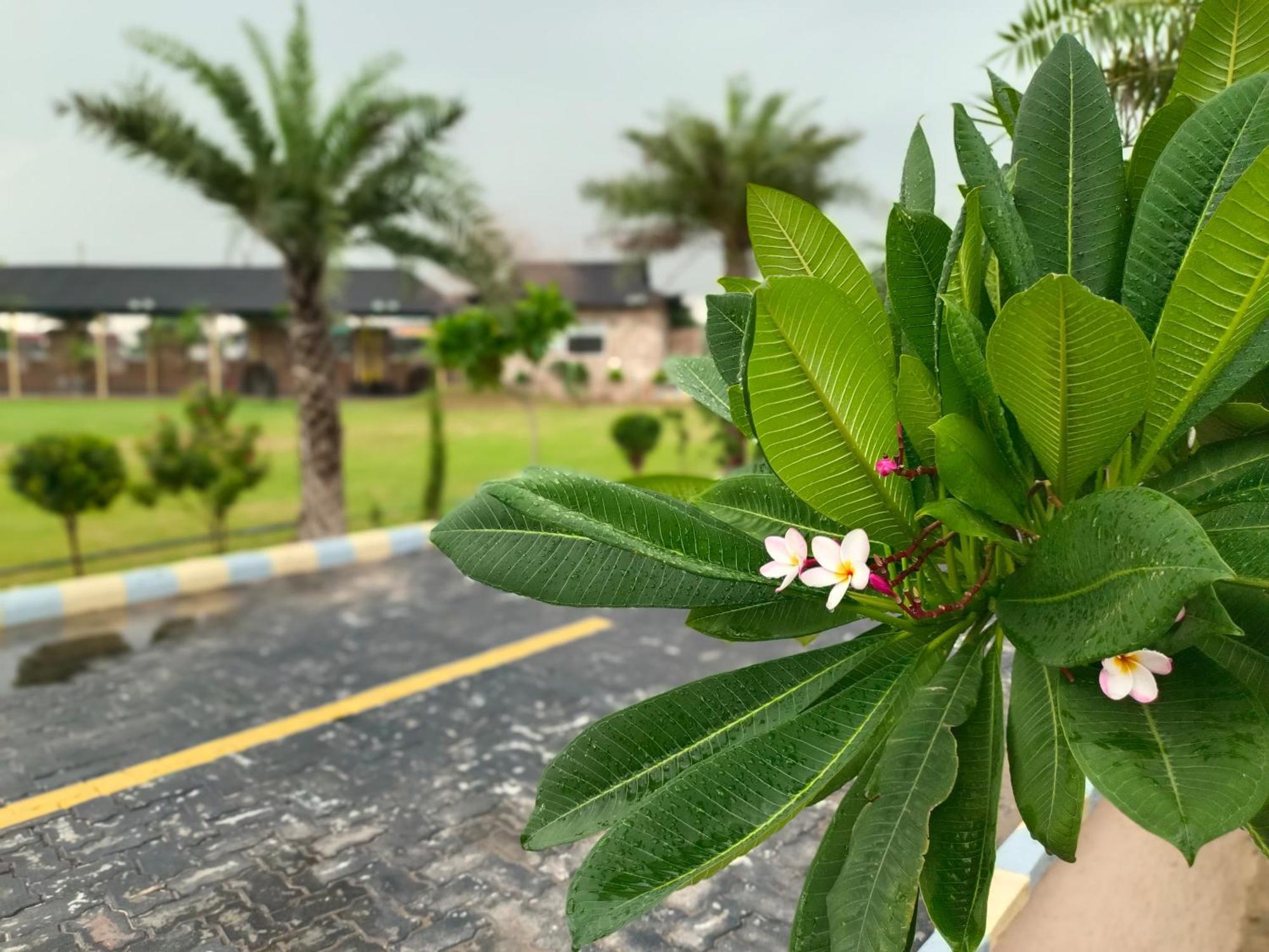 Royal Rajasthan Resort Sikar Eksteriør billede
